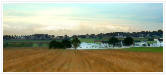 Amish Landscape