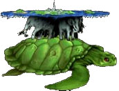 La tortue se meut