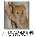 CSS Drop Shadows