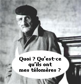 Vieux
