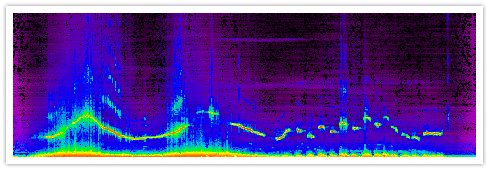 Spectre sonore