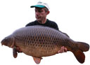 Poison de poisson