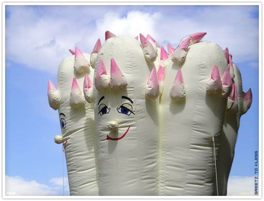 Fête de l'Asperge