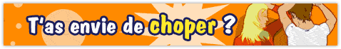 Bannière Skyblog