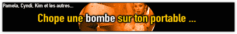 Bannière Skyblog