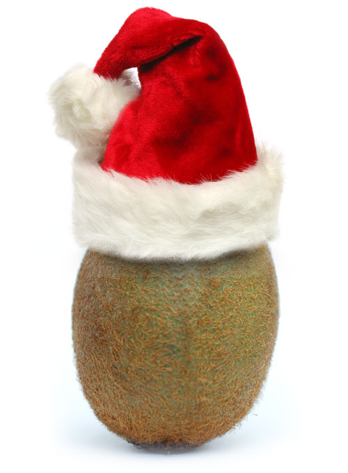 Kiwi ou kiwi ? Kiwi