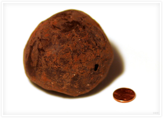 Grosse Truffe