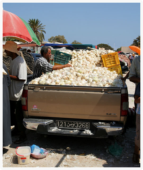 Djerba - Oignons