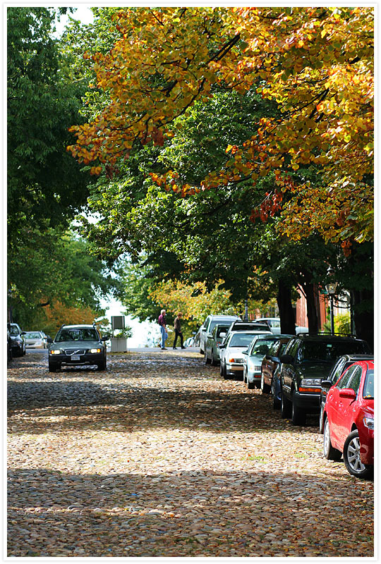 Alexandria Automne