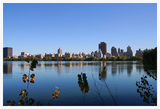 New York - Central Park
