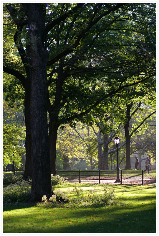 New York - Central Park