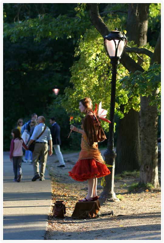 New York - Central Park