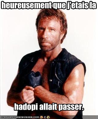 Hadopi by Chuck Norris