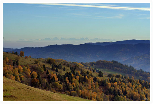 Alpes depuis les Vosges