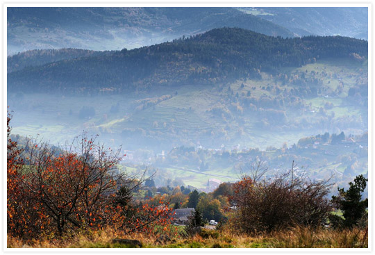 Vallée Vosgienne