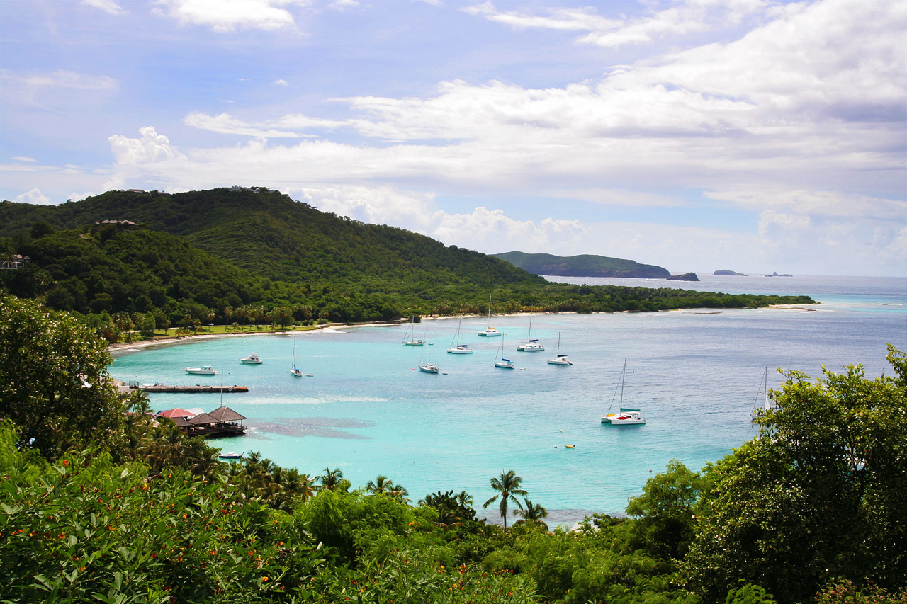 Blup! » Archive du blog » L’île moustique