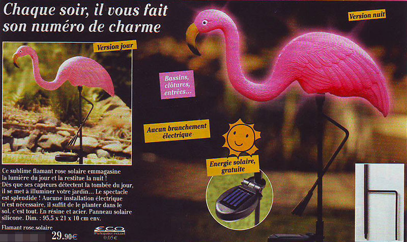 flamant-rose-solaire